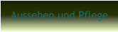 Aussehen und Pflege