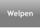 Welpen
